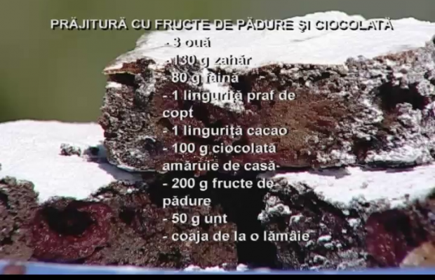 Prajitura cu fructe de padure si ciocolata