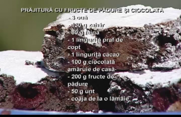 Prajitura cu fructe de padure si ciocolata 