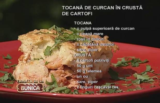 Tocanita de curcan in crusta de cartofi