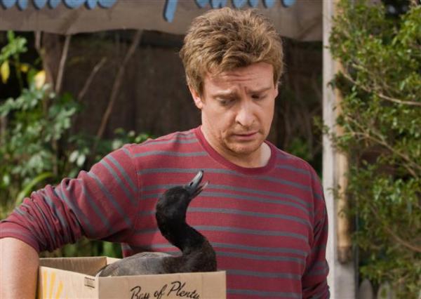cazut din cer serial cazut din cer serial
