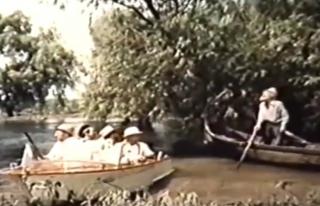 Alarma in Delta