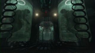 Terminatorii