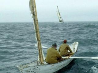 Lupul de mare