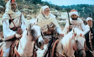 Leul desertului