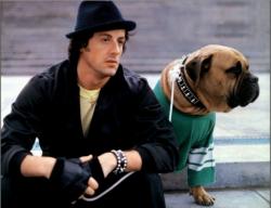 Rocky II