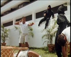 American Ninja 5