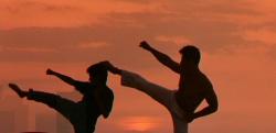 American Ninja 5