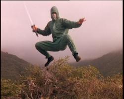 American Ninja 5