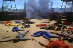 American Ninja 5