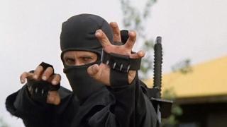 American Ninja