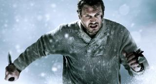 The Grey: La limita supravietuirii