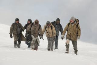 The Grey: La limita supravietuirii