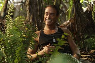 Bun venit in jungla
