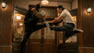 Maestrul Z: Mostenirea lui Ip Man