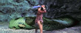 Secretul junglei