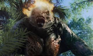Secretul junglei
