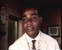 Domnul Johnson
