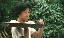 Ultimul tigru Shaolin