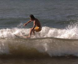 Surferii