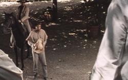 Ringo se intoarce