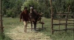 Django, ultimul pistolar