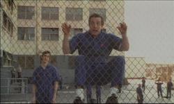 Nimeni nu stie nimic