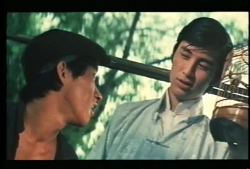 Ultimul tigru Shaolin