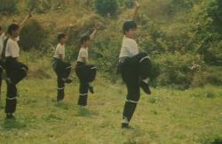 Ultimul tigru Shaolin