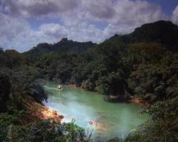 Mosquito Coast