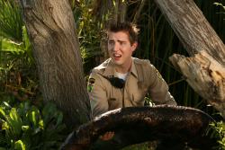 Atacul reptilelor