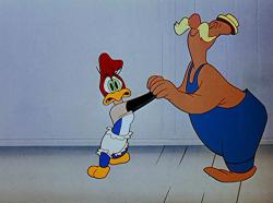 Ciocanitoarea Woody