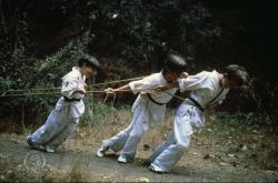 Micutii Ninja