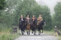 D`Artagnan si cei trei muschetari
