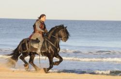 Capitanul Tunet si Sfantul Graal