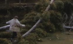 Podul catre Terabithia