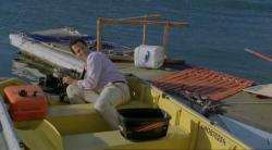Malibu: Atacul rechinilor