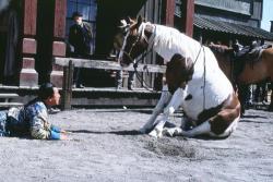 Cowboy Shaolin