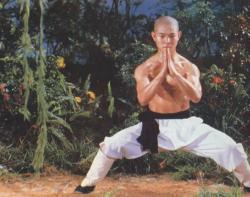 Maestrii Shaolin