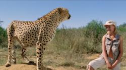 Calatorie magica in Africa