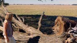Calatorie magica in Africa